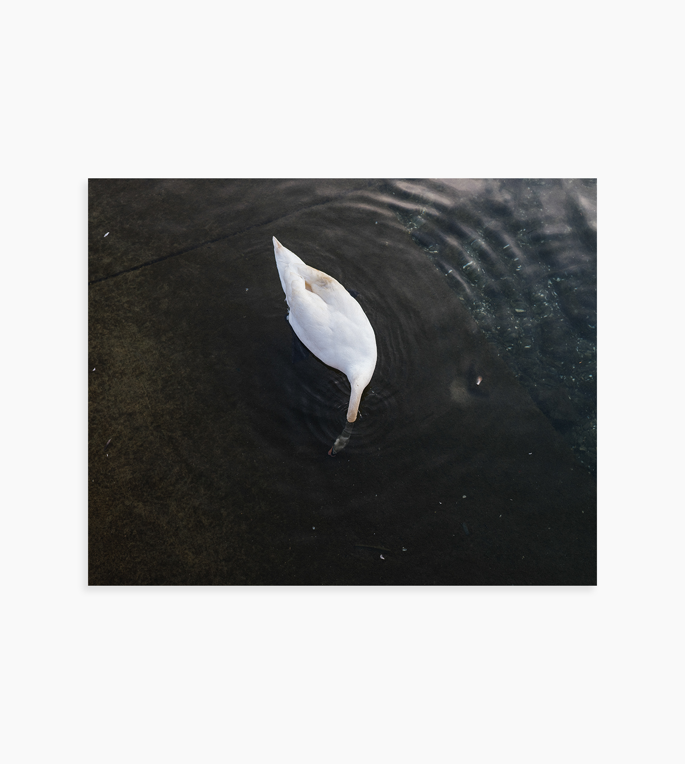 Untitled - 4074