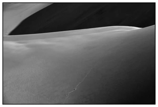 © Tahmineh Monzavi: Body of Nature, LUT 2021