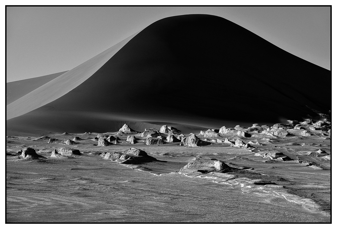 Read more about the article Tahmineh Monzavi: Body of Nature, LUT