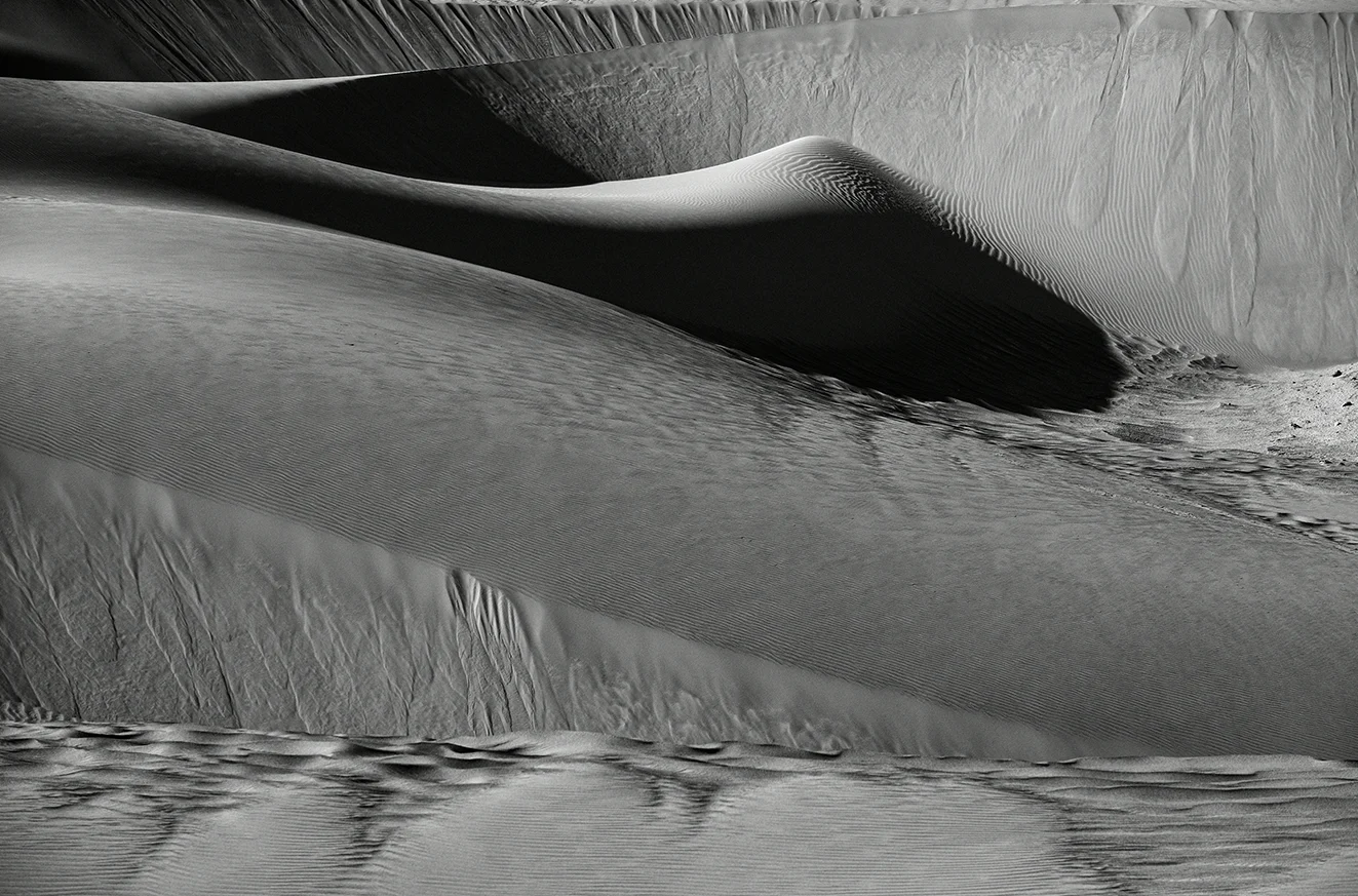 © Tahmineh Monzavi : Body of Nature, LUT 2021