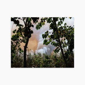 Untitled Frame 03 from The Caspian Lake Series