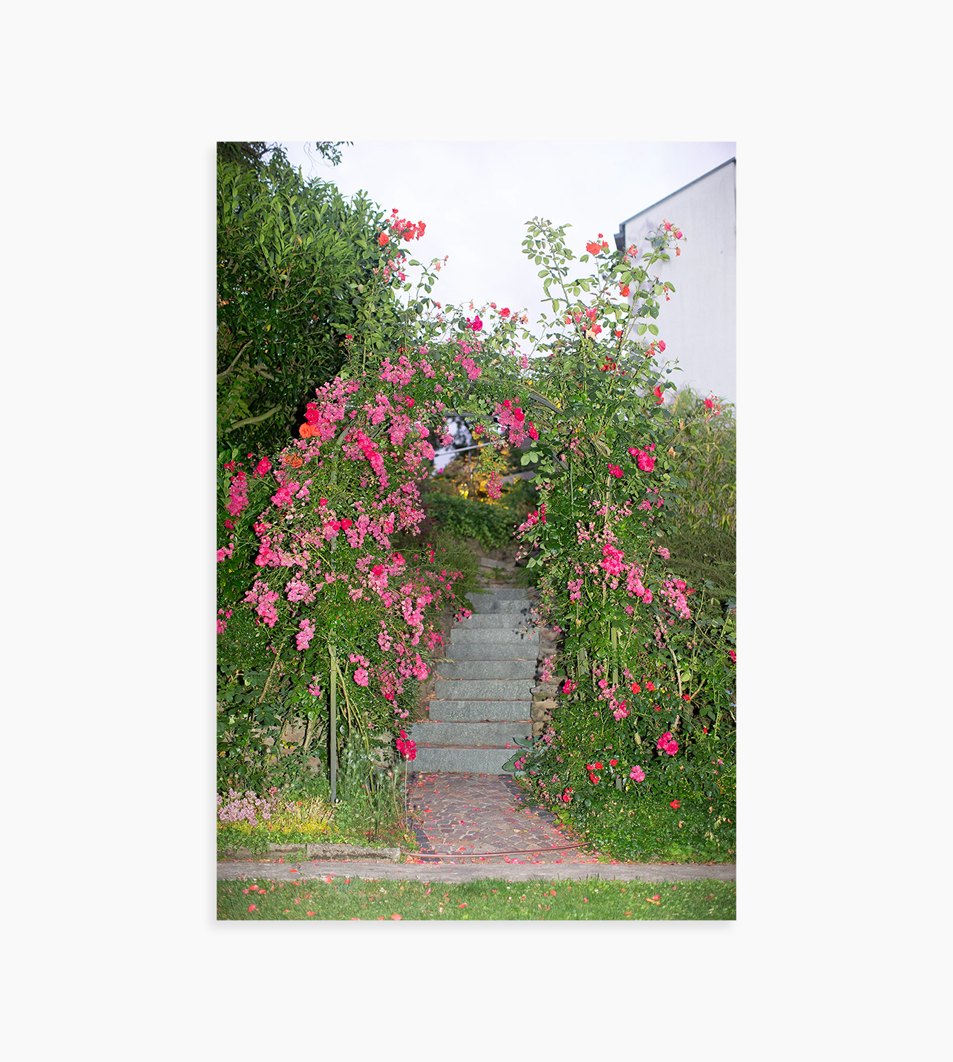 Untitled Frame 02 from 1939-1945 Series