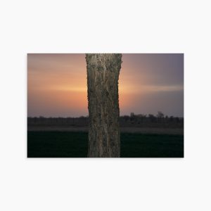 Untitled Frame 15 from PlayTime