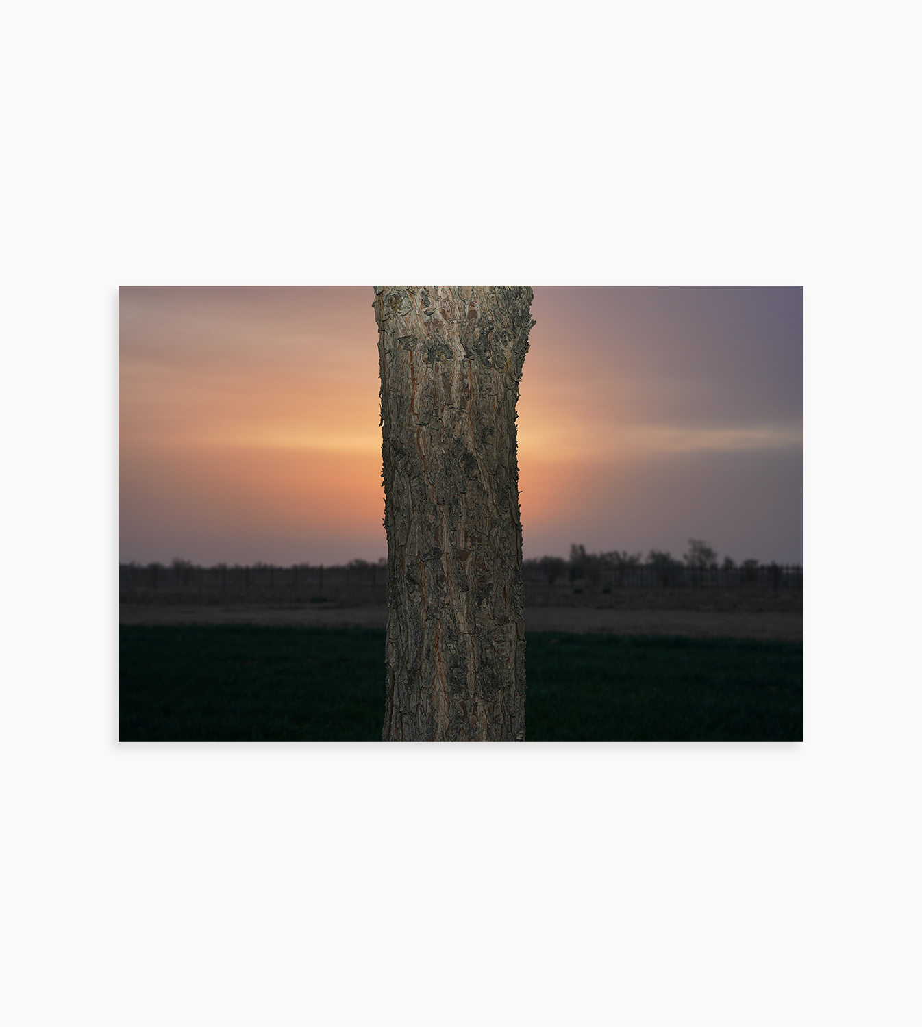 Untitled Frame 15 from PlayTime